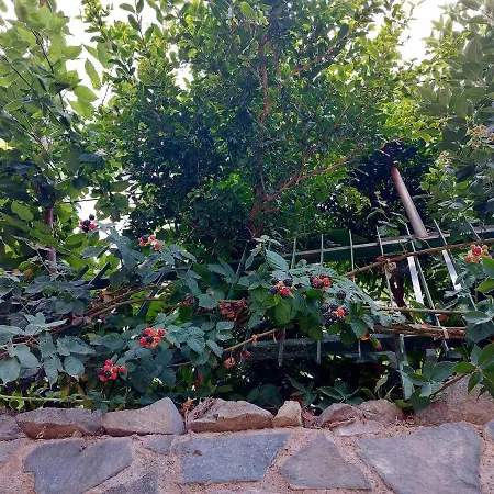 Eleni Papagiorki Village House בית נופש