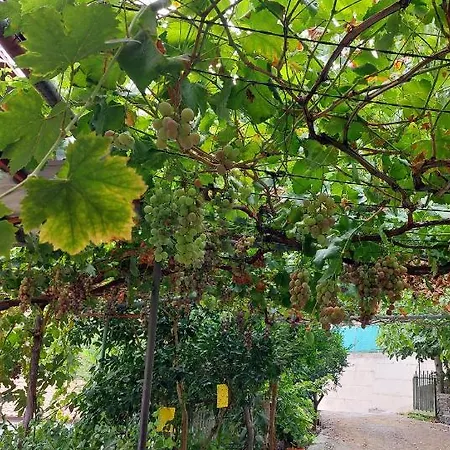 Eleni Papagiorki Village House לימסול
