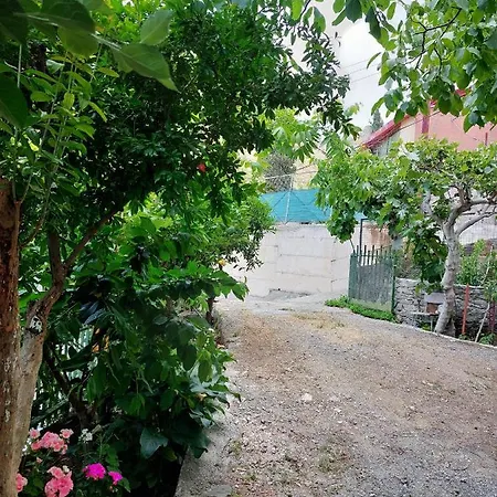 Eleni Papagiorki Village House בית נופש לימסול