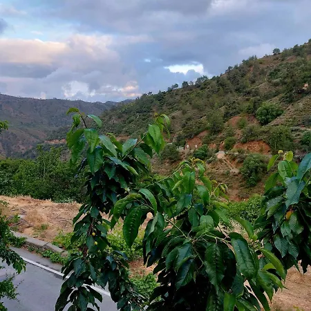 בית נופש Eleni Papagiorki Village House לימסול