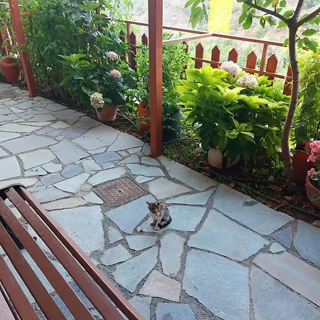 Eleni Papagiorki Village House בית נופש לימסול