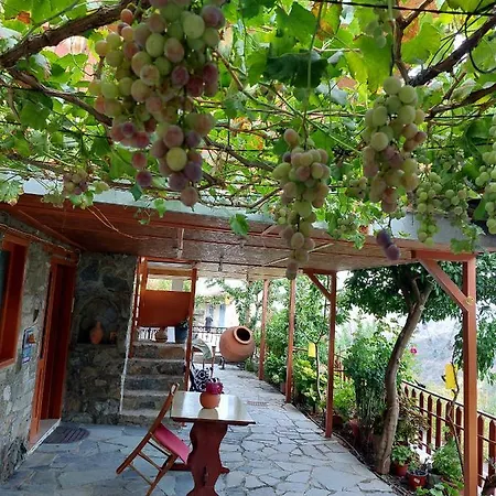 Eleni Papagiorki Village House לימסול