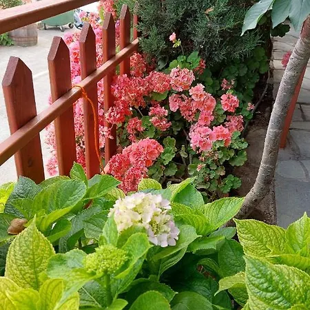 Eleni Papagiorki Village House * לימסול