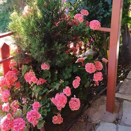 Eleni Papagiorki Village House *